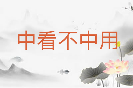中看不中用