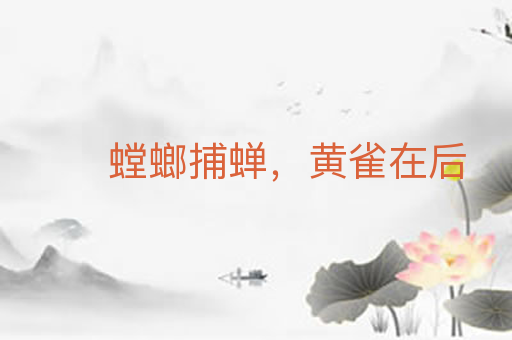 螳螂捕蝉，黄雀在后