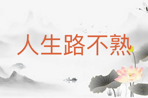 人生路不熟