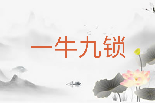 一牛九锁