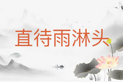 直待雨淋头