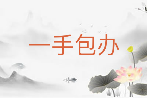 一手包办