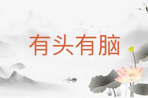 有头有脑