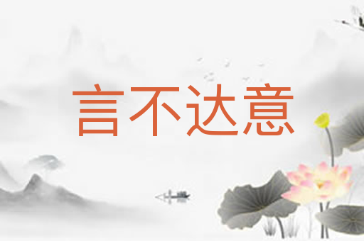 言不达意