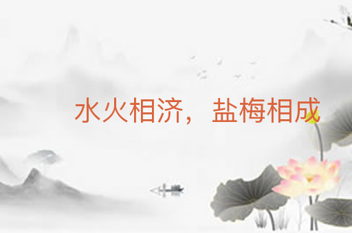 水火相济，盐梅相成