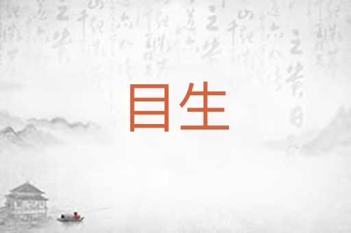 目生