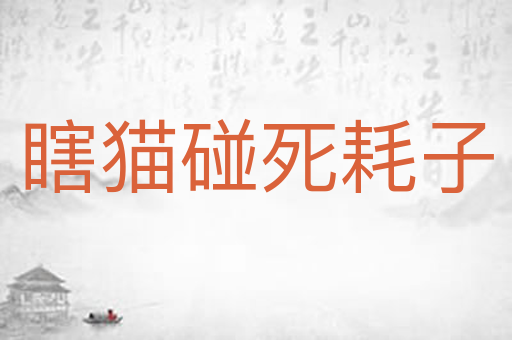 瞎猫碰死耗子