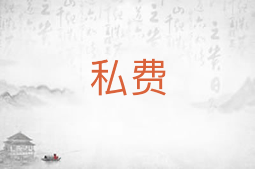 私费