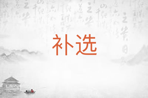 补选