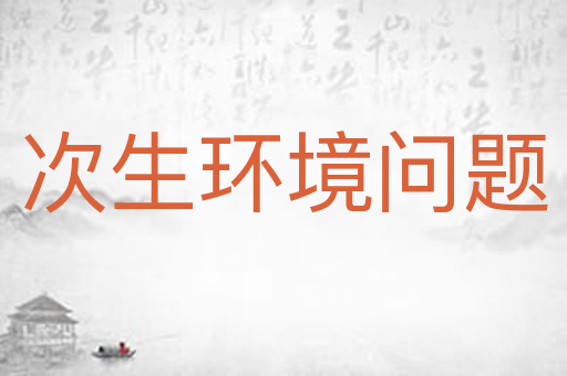 次生环境问题