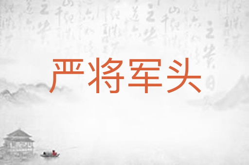 严将军头