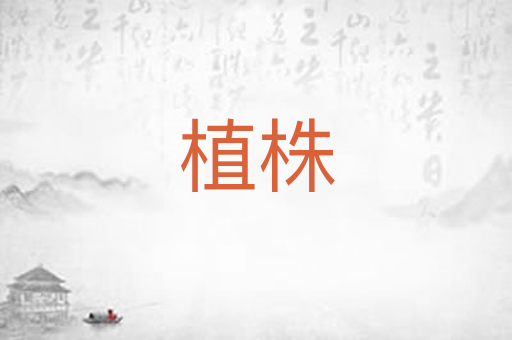 植株
