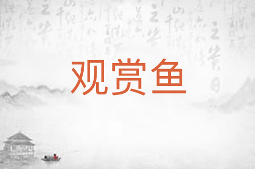 观赏鱼