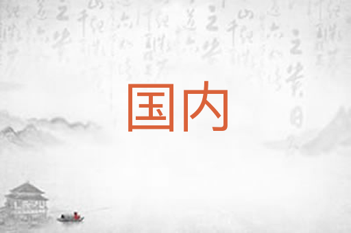 国内