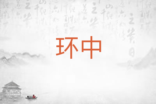 环中