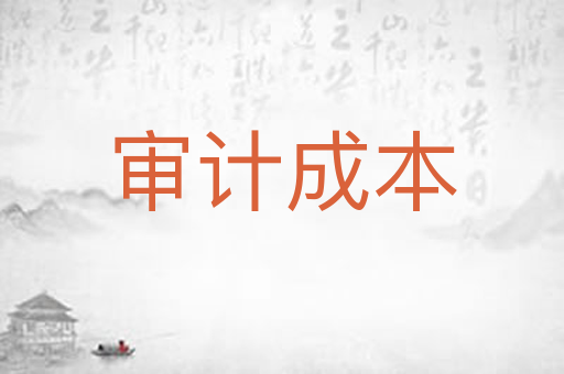 审计成本