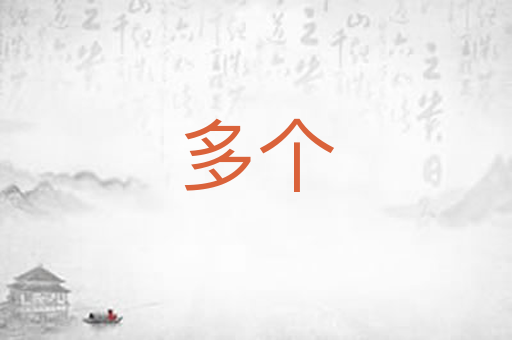 多个