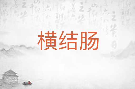 横结肠