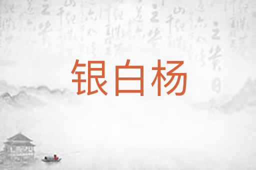 银白杨