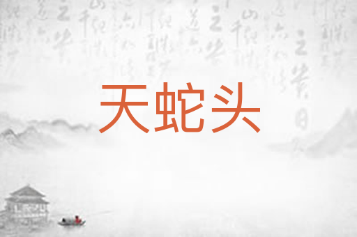 天蛇头