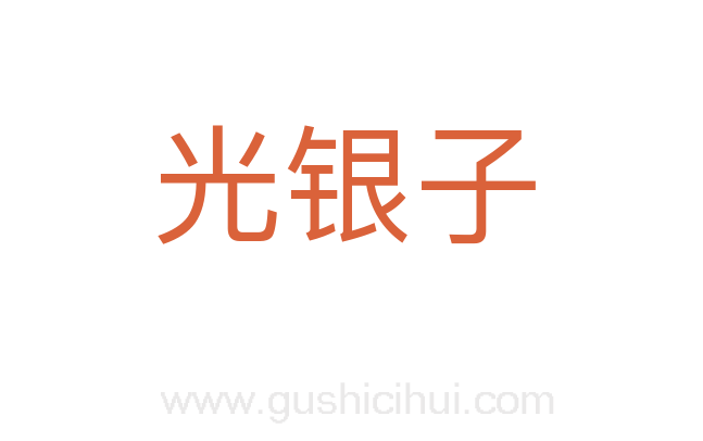 光银子