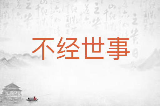 不经世事