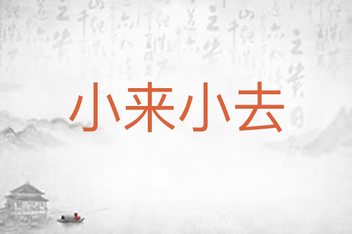 小来小去