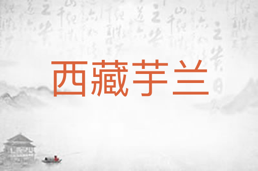 西藏芋兰