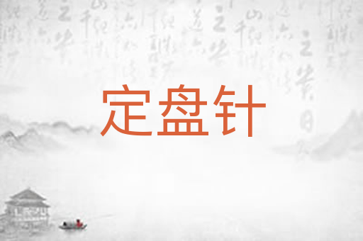 定盘针
