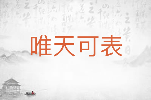 唯天可表
