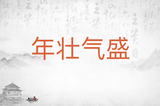 年壮气盛