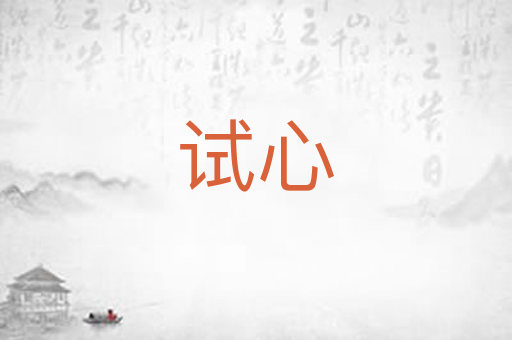 试心