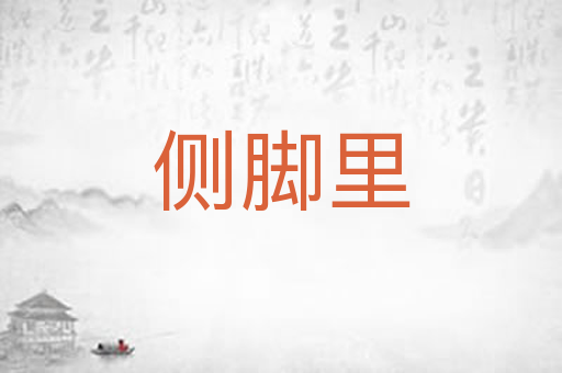 侧脚里