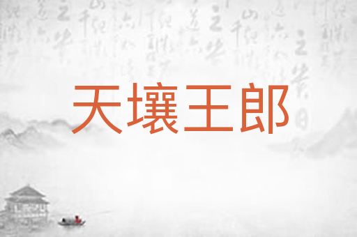 天壤王郎
