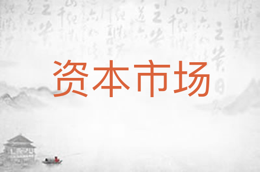 资本市场