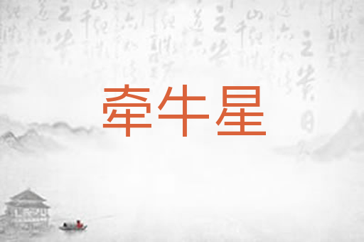 牵牛星