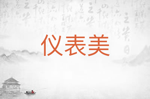 仪表美