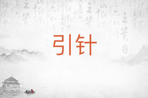 引针