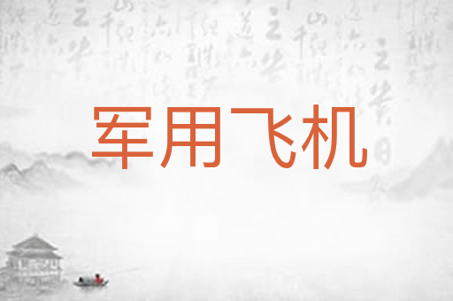 军用飞机