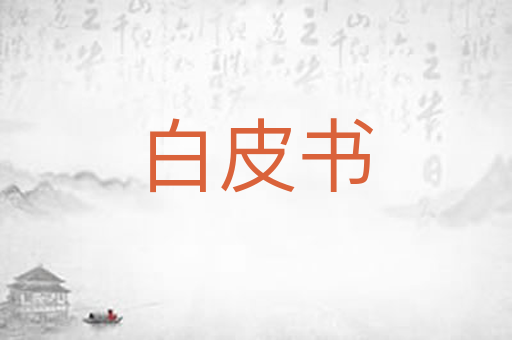 白皮书