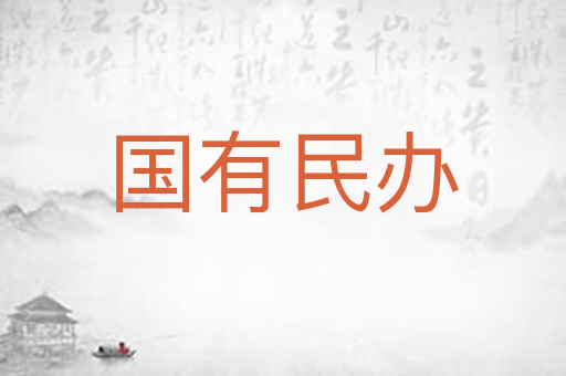 国有民办