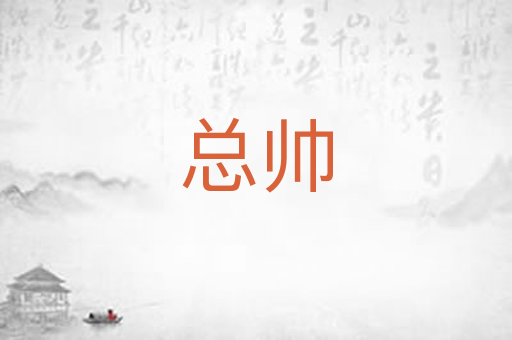 总帅