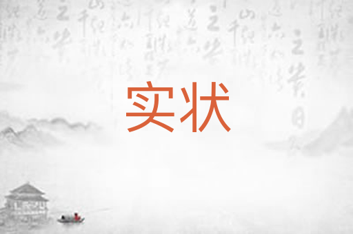 实状
