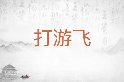 打游飞