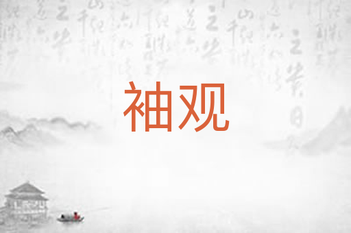 袖观