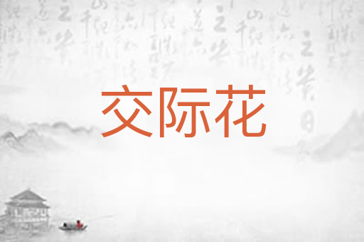 交际花