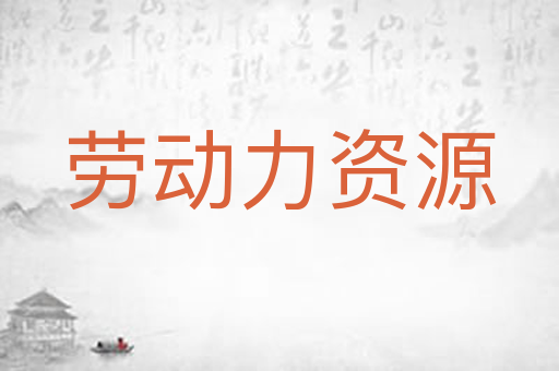 劳动力资源