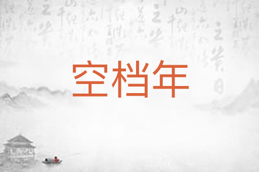 空档年