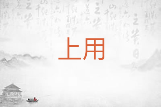 上用