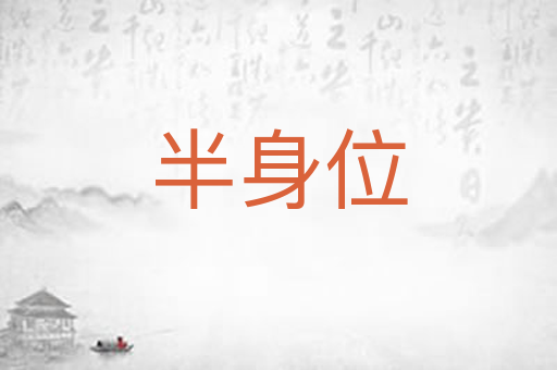 半身位
